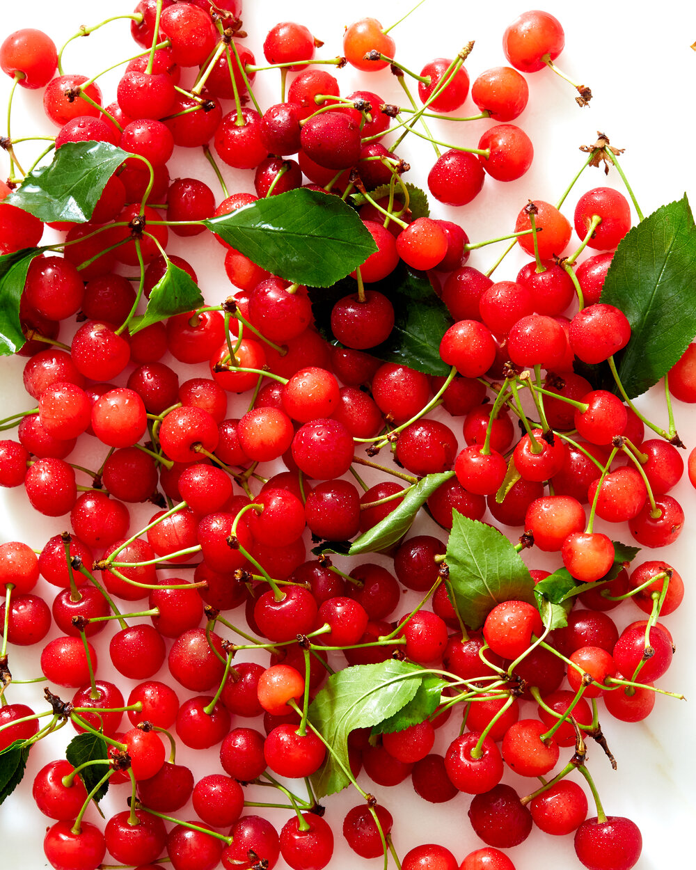 Cherries4206.jpg
