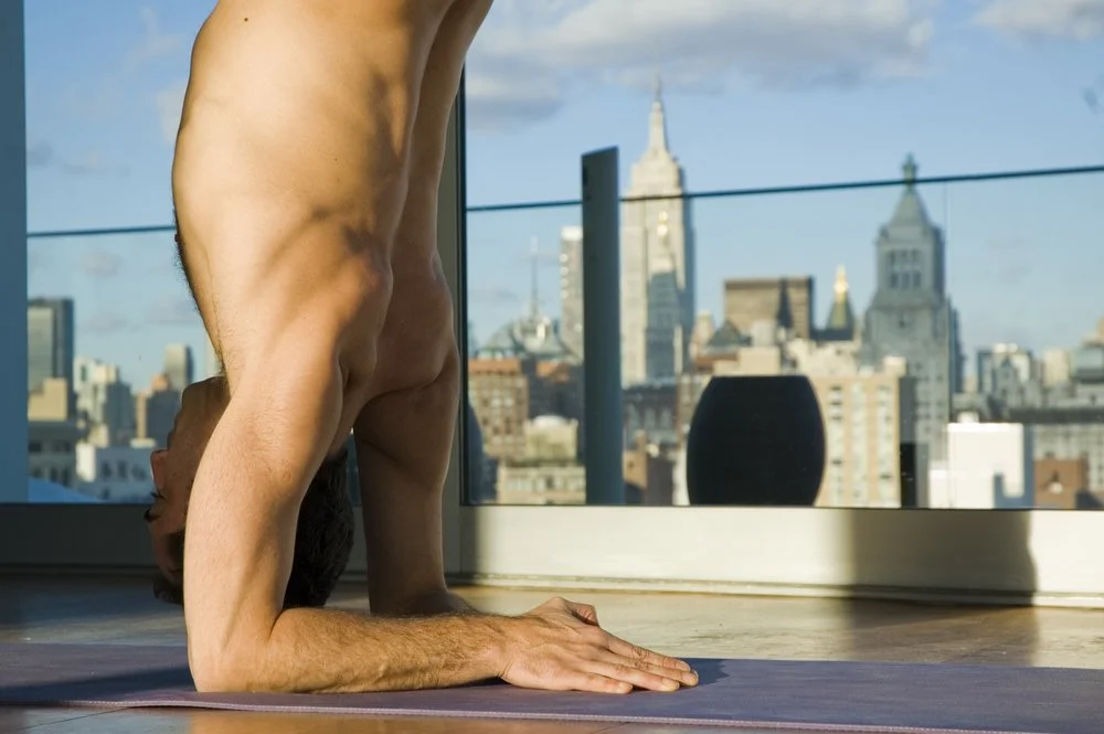 Amitai Cohen Forearm Stand Close.jpg