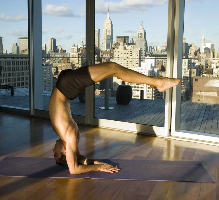 Amitai Cohen Scorpion.jpg