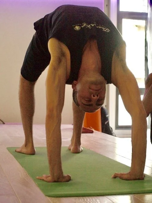 Amitai Cohen Wheel.jpg