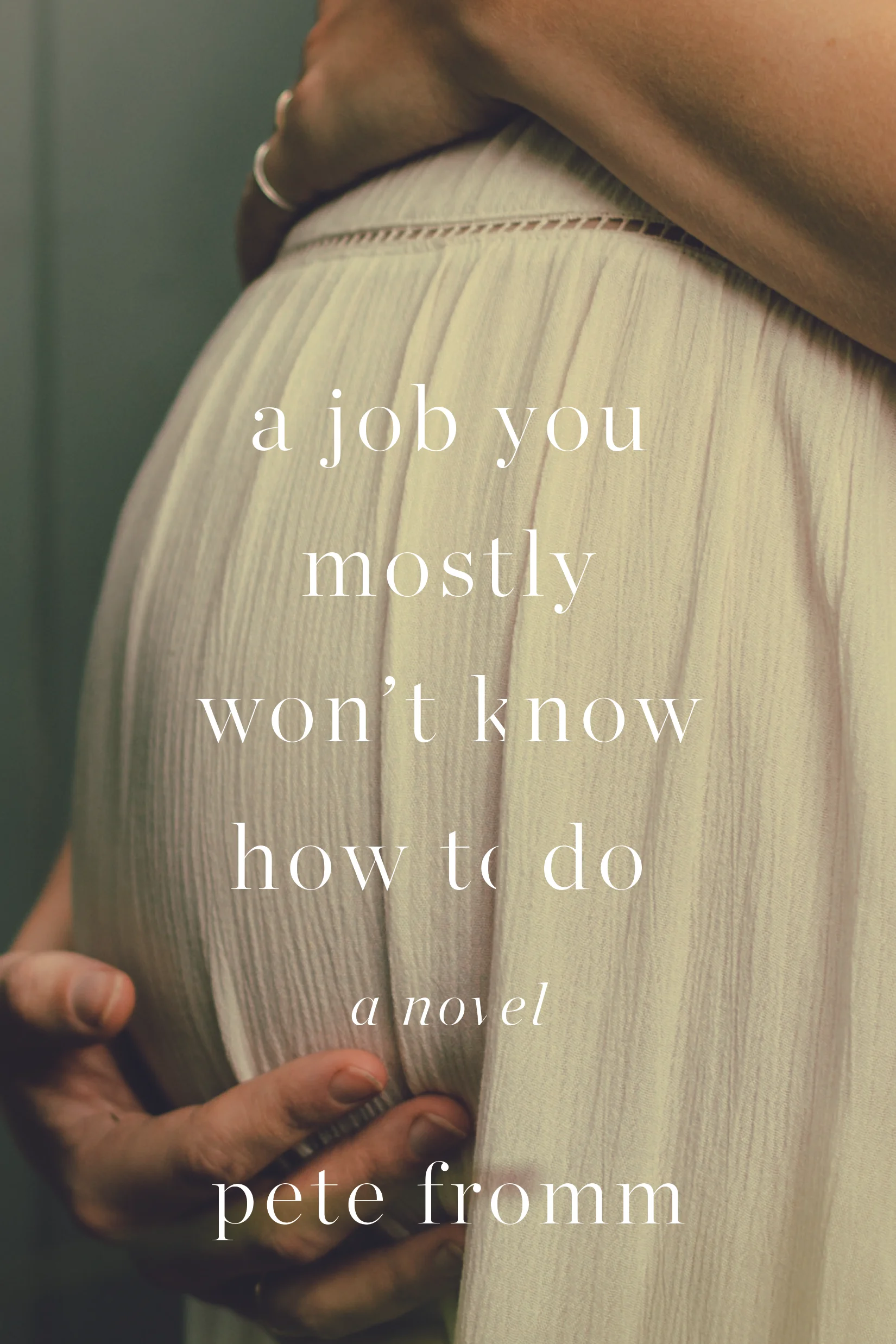 A Job You Mostly Won't Know How to Do_cvr_300dpi print res.jpg