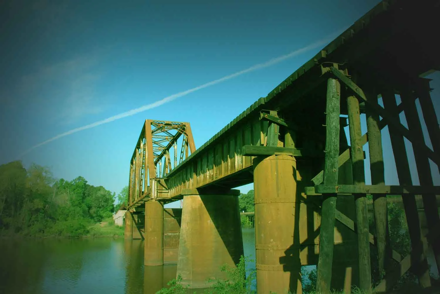 bridge copy.jpg
