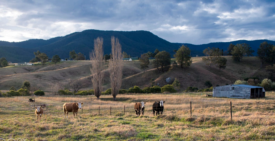 Cooma Summer Function - BBQ & Bush Dance