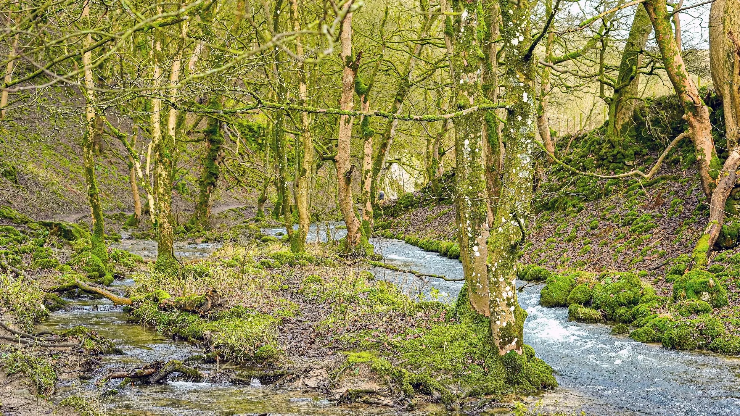 Yorkshire 1 - FINAL.jpg