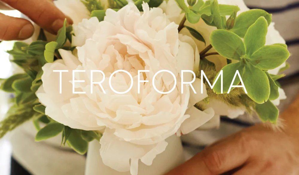 TEROFORMA_LOGO.jpg
