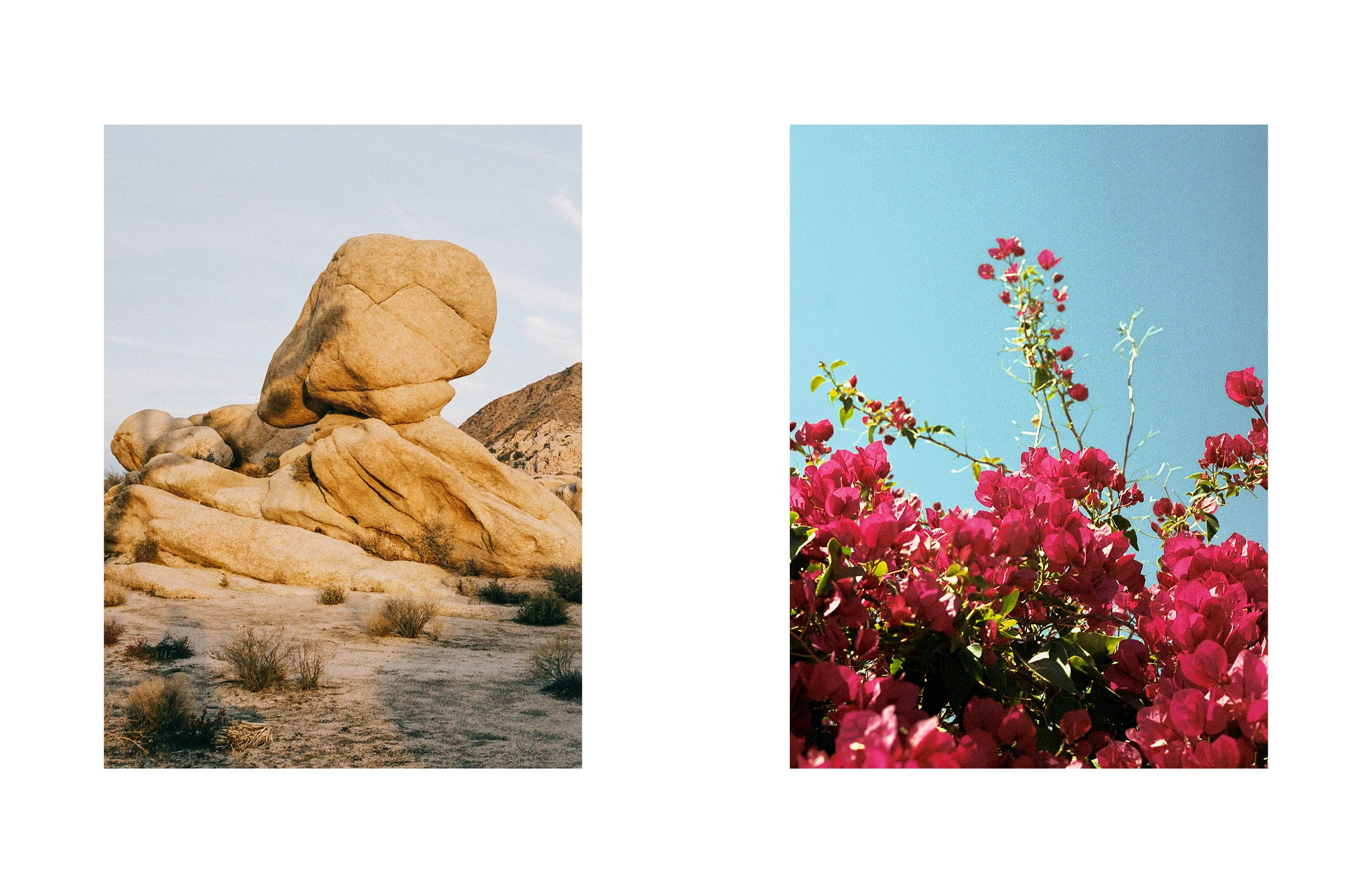 JB-Lookbook-7.jpg