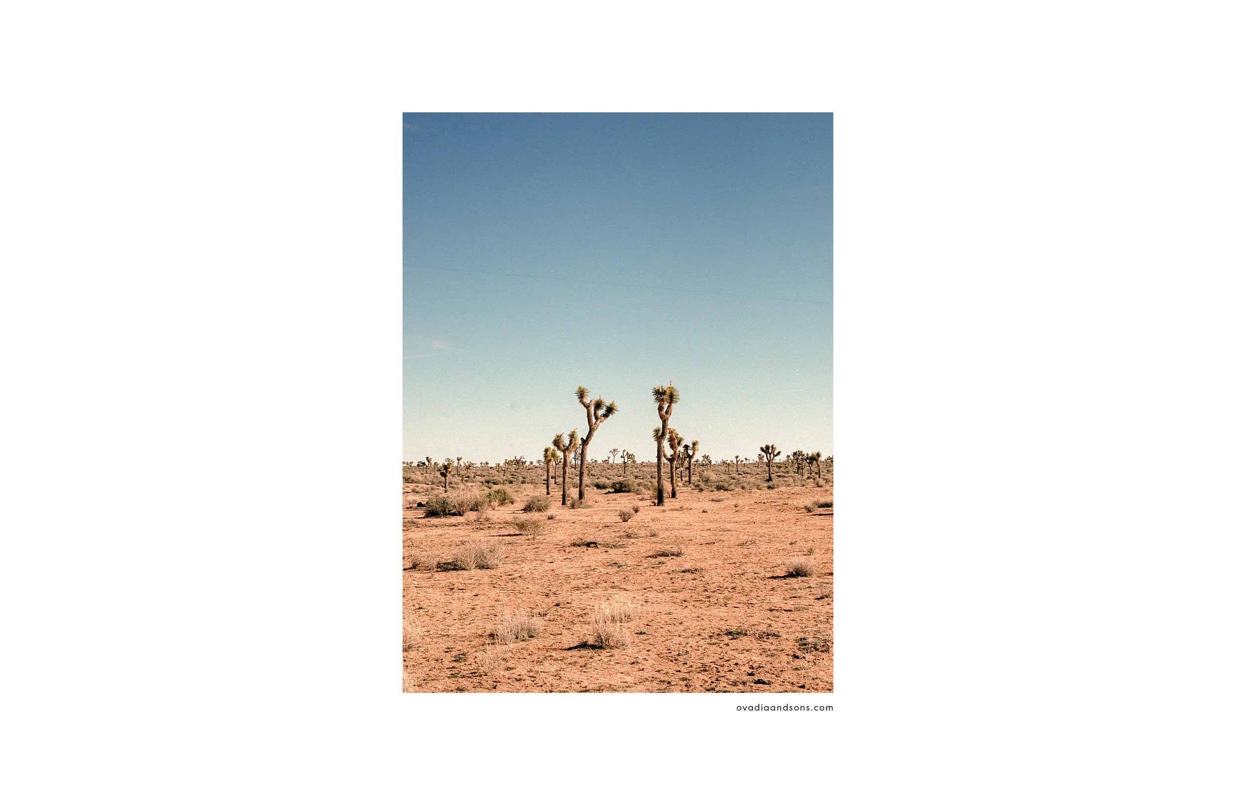 JB-Lookbook-14B.jpg