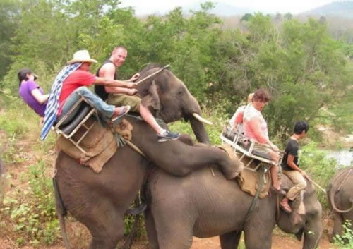 55%20The%20Real%20Elephantitis.jpeg