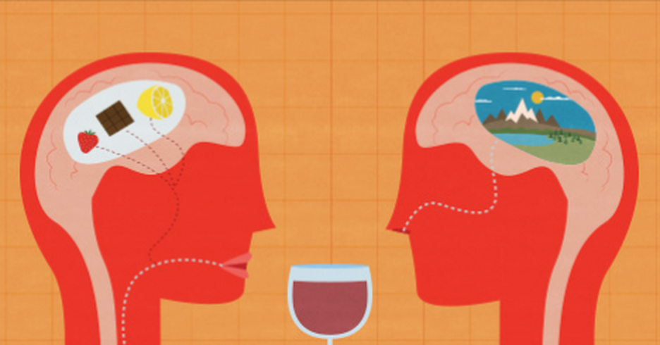 Taste vs. Smell: What's More Important When It Comes to Wine?