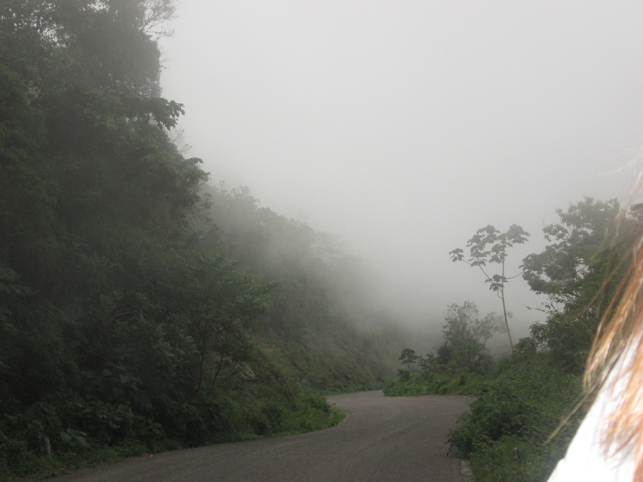 IMG_0831 - Copy.JPG