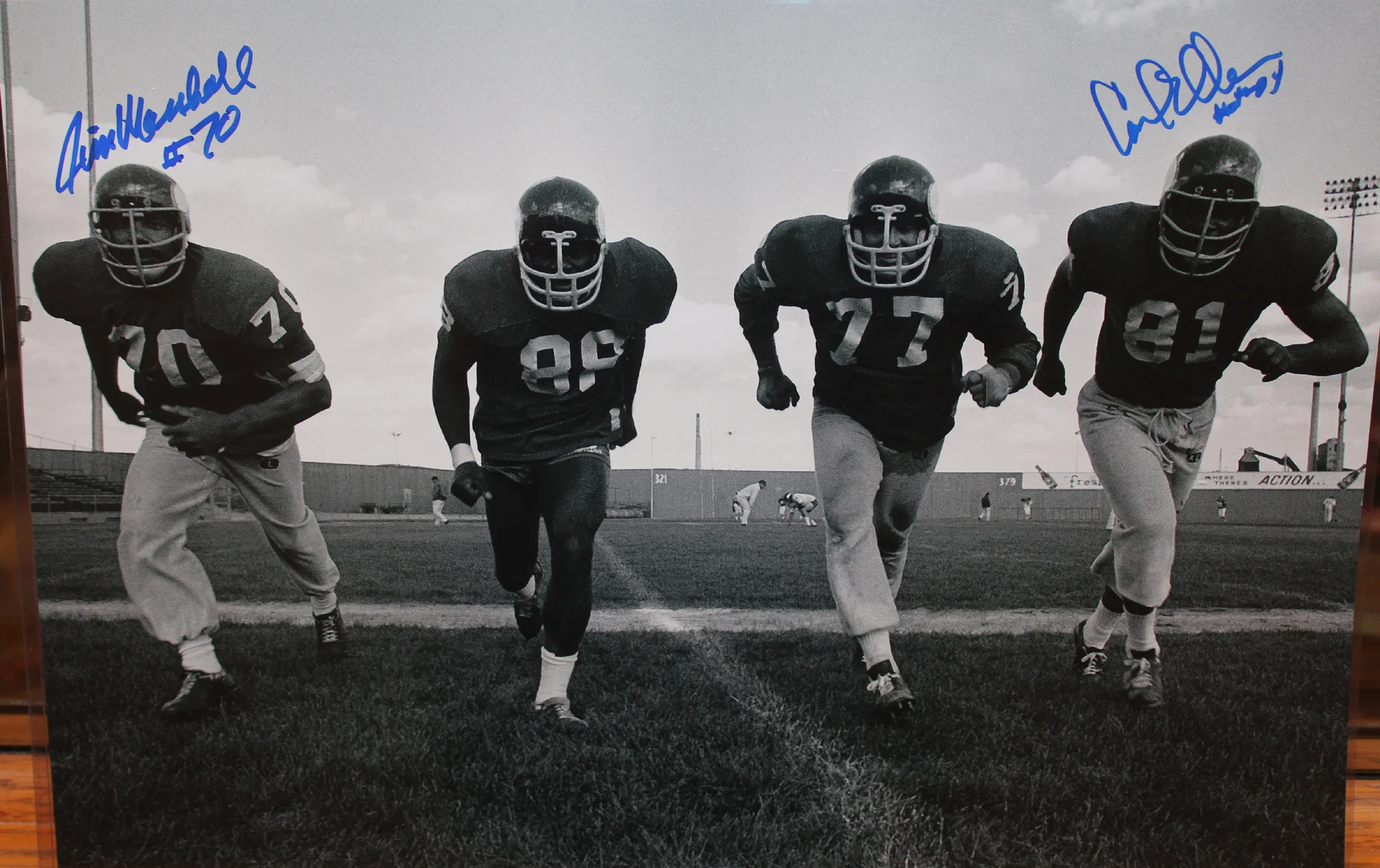 Purple People Eaters Vikings 12x18 Project Photo (Eller, Marshall)