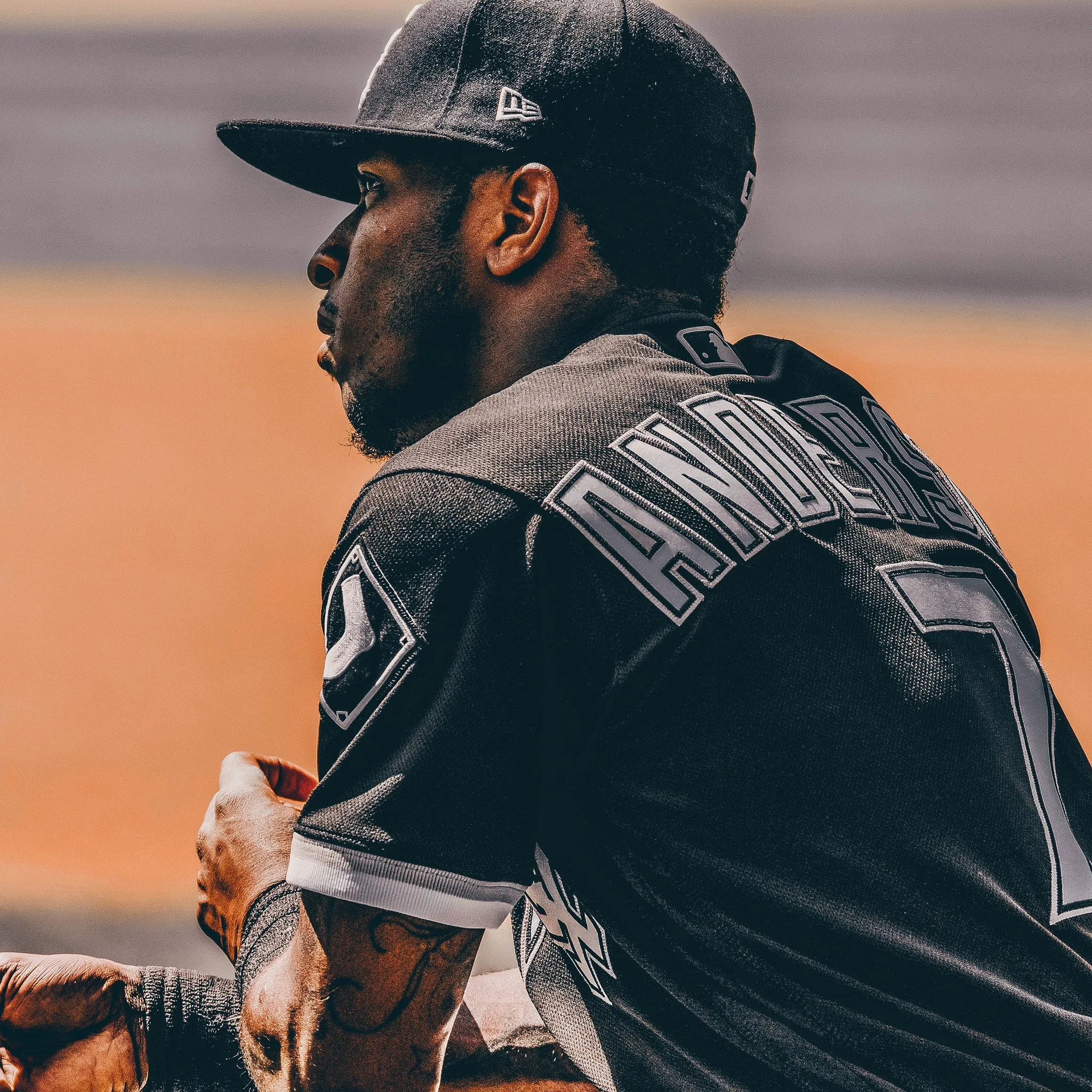 tim anderson5.jpg