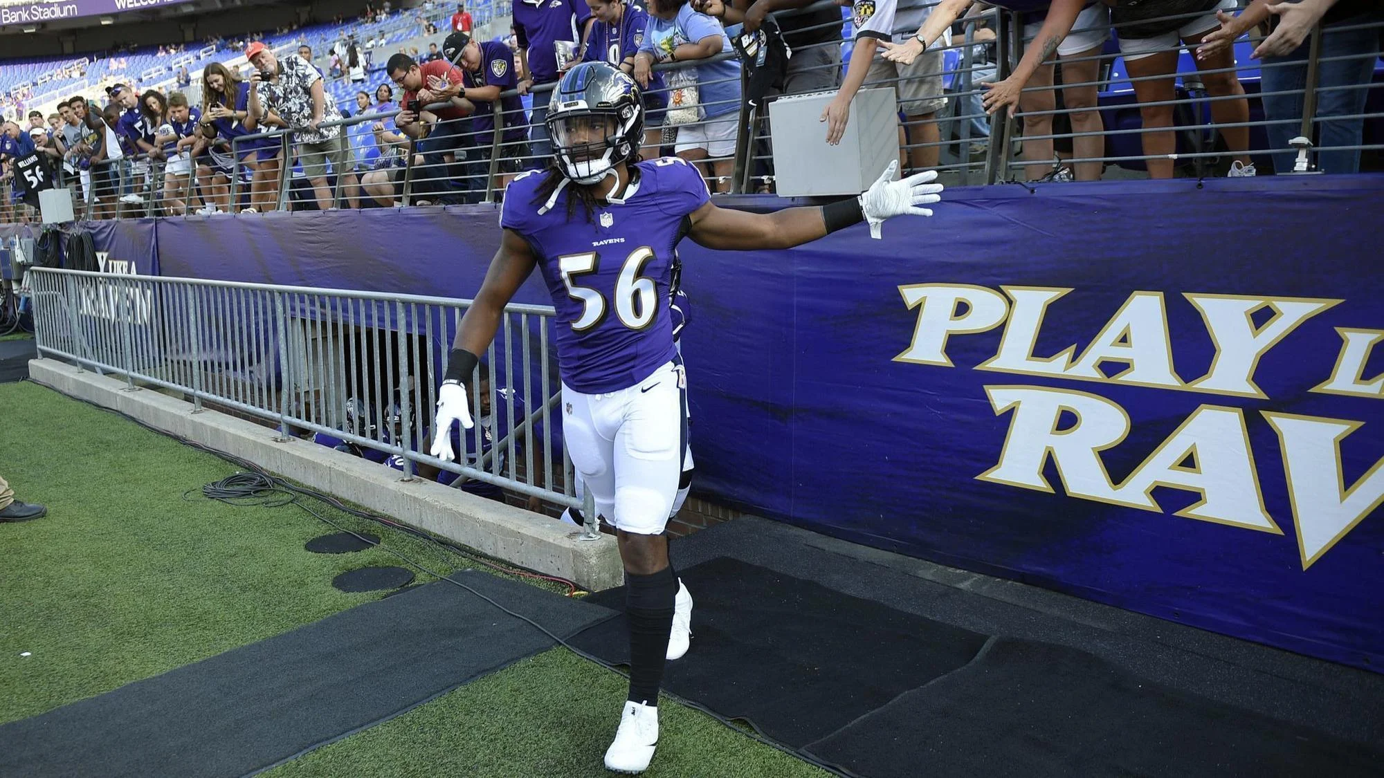 tim williams3.jpg