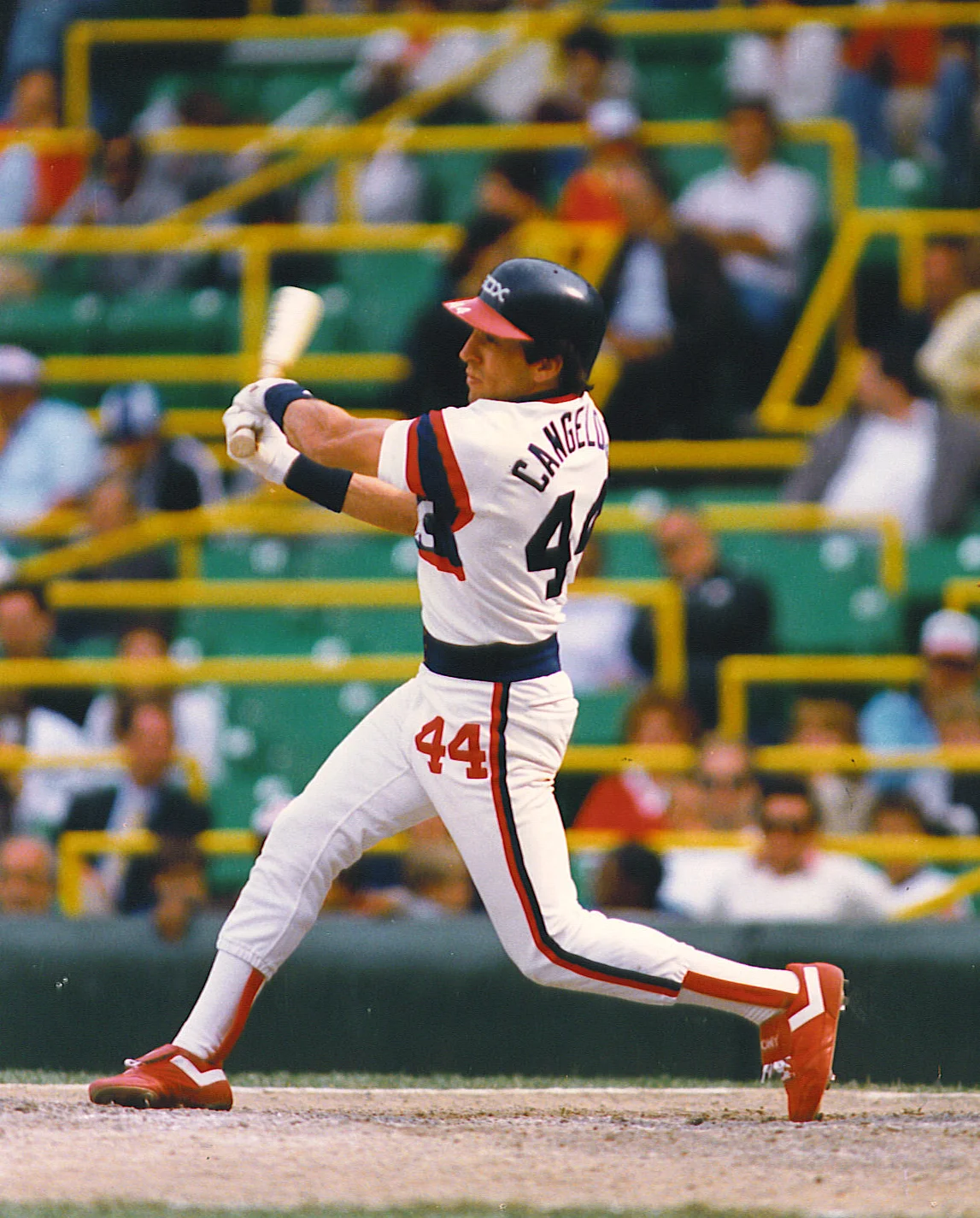 John cangelosi.jpg