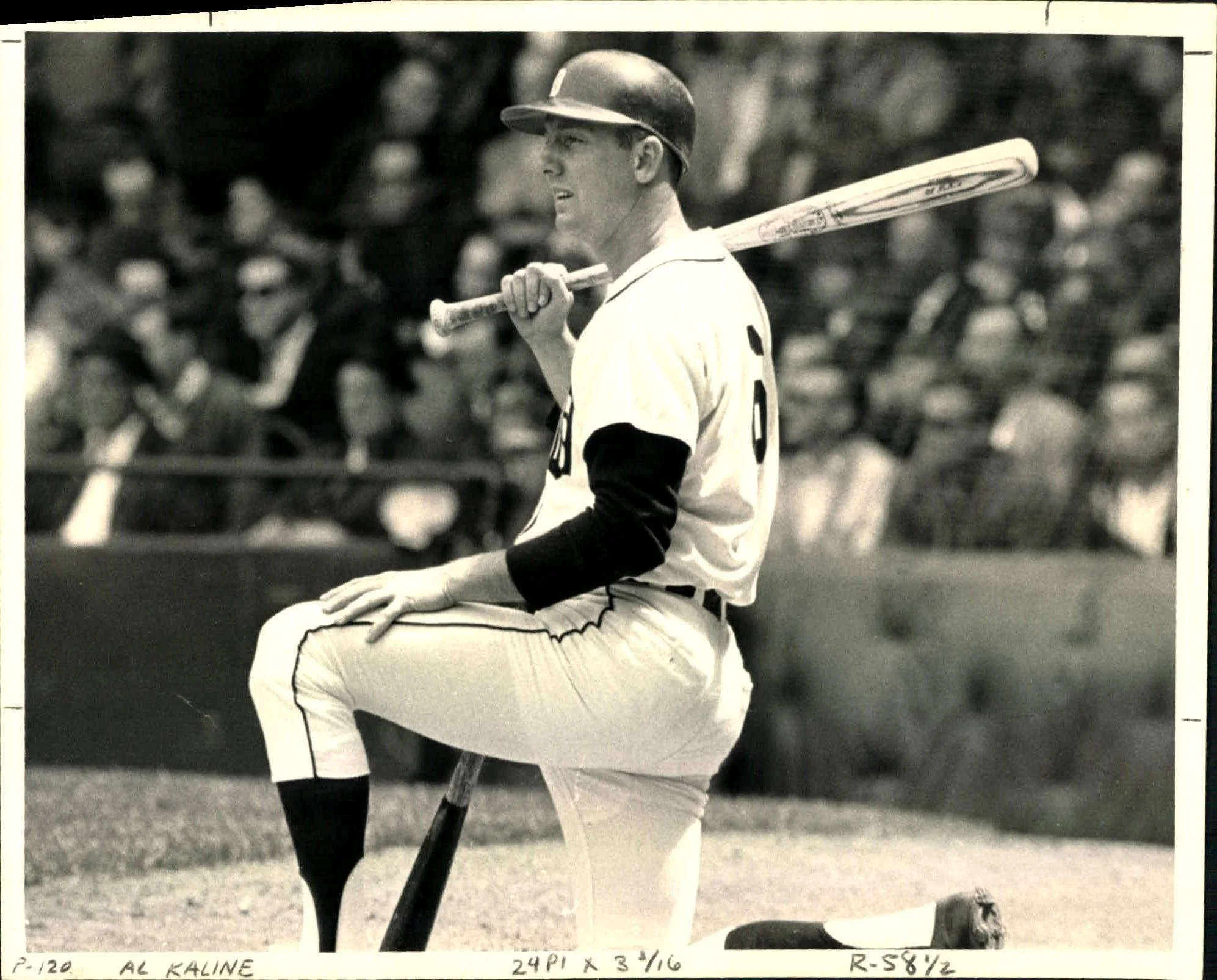 al kaline3.jpg