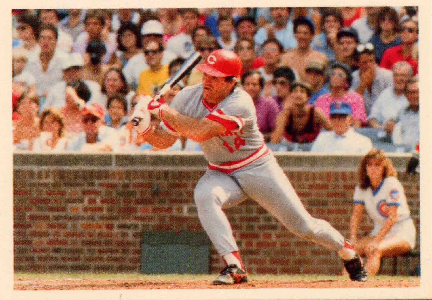 pete Rose2.jpg