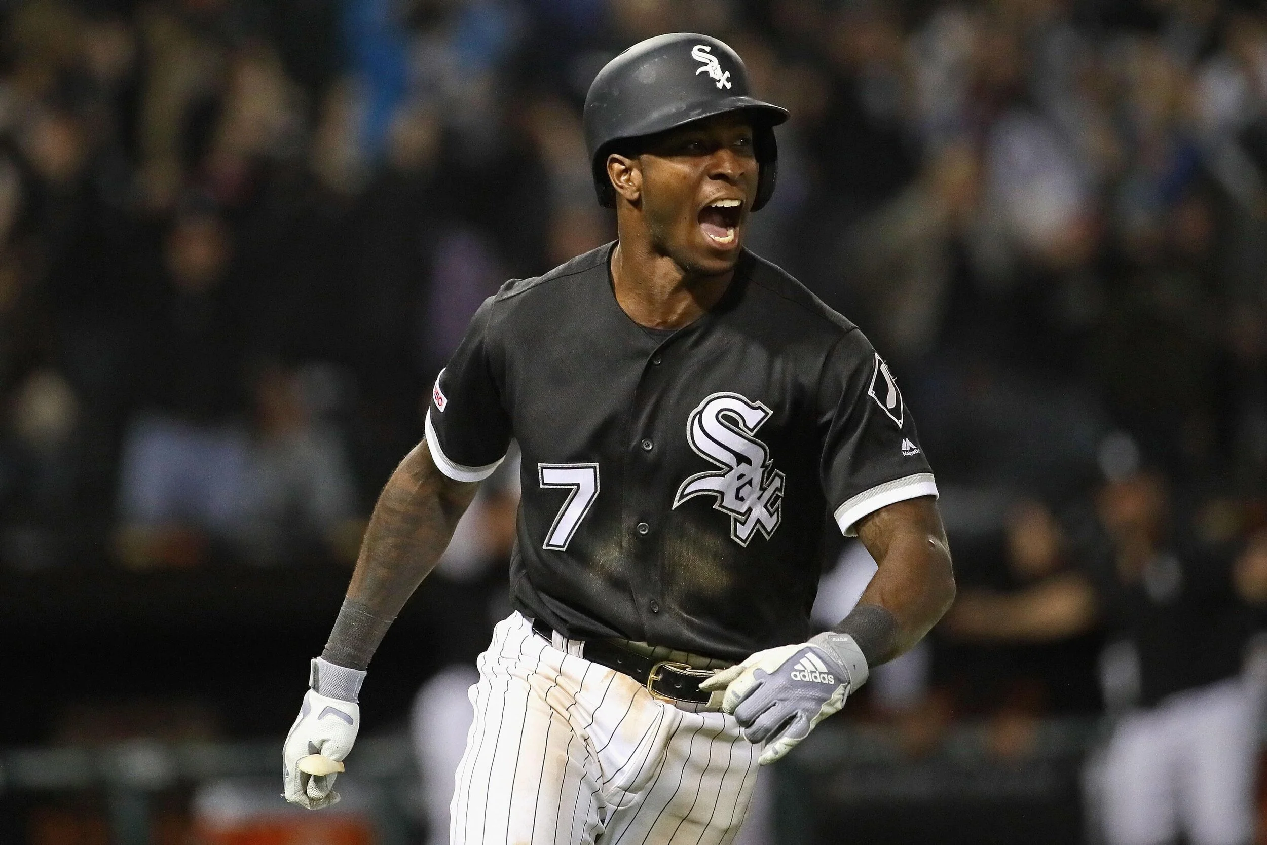tim anderson6.jpg