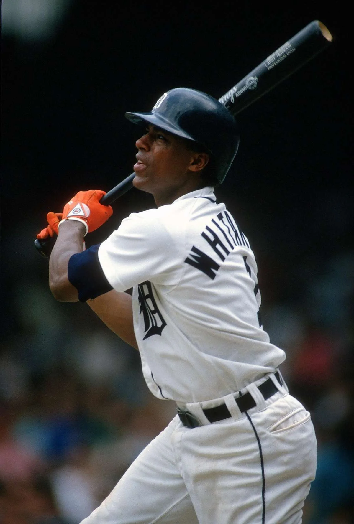 lou whitaker.jpg