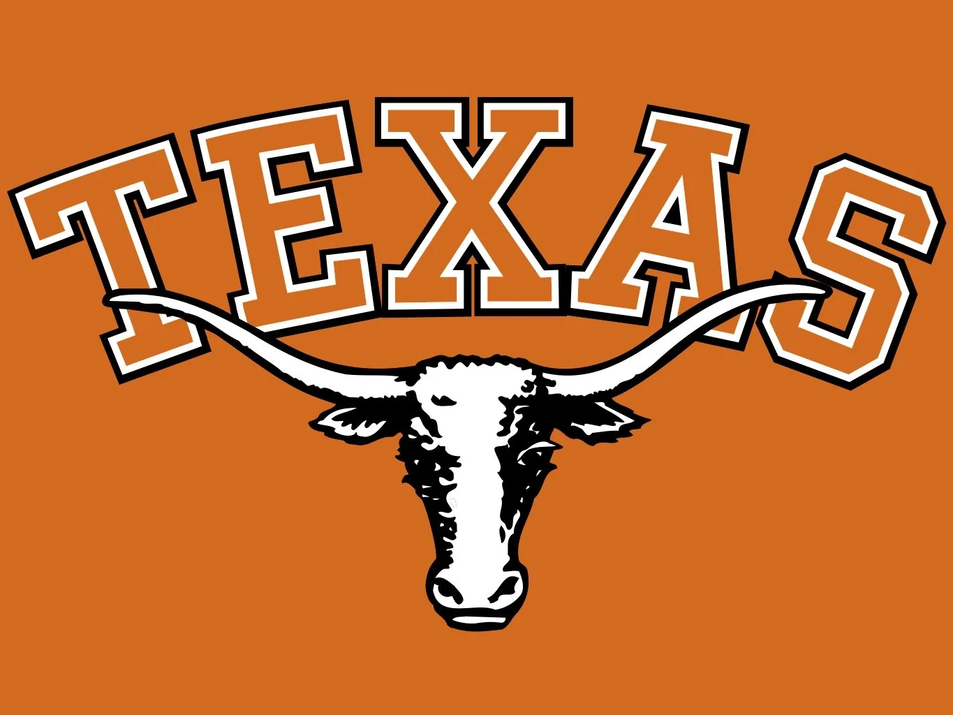 Texas Longhorns.jpg