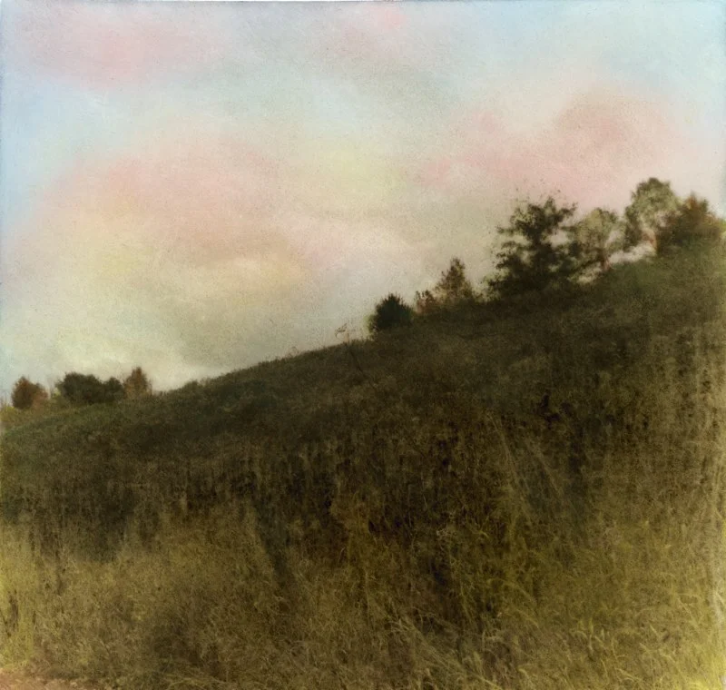 Cornell University Plantation #2