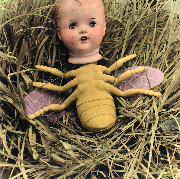 Beeboy