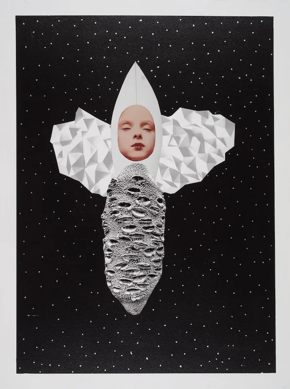 Cacoon