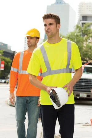 CS401/CS401LS