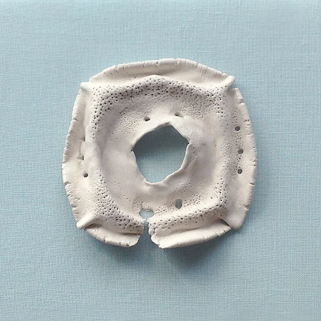Caroline Ariane Bergeron: Objet de la mer no 2, 2014.