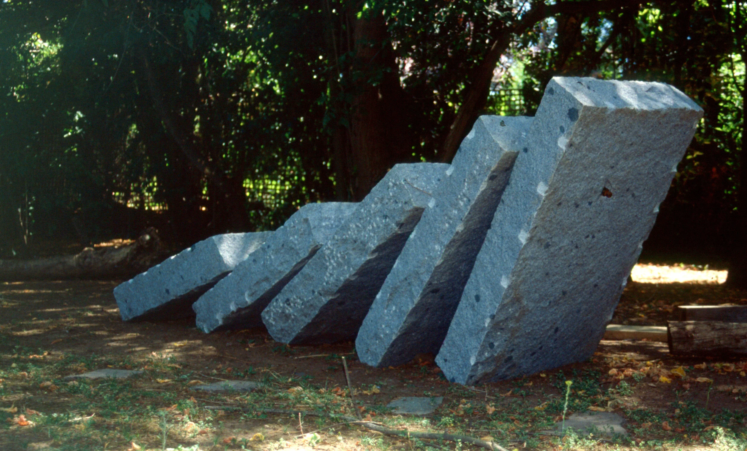 Scan20.jpg