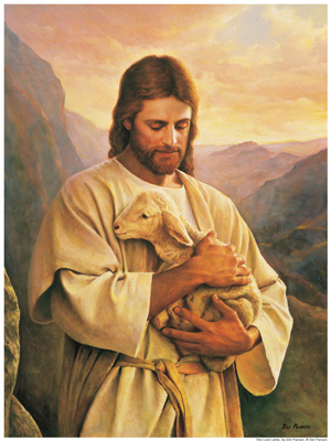 Luke.jpg