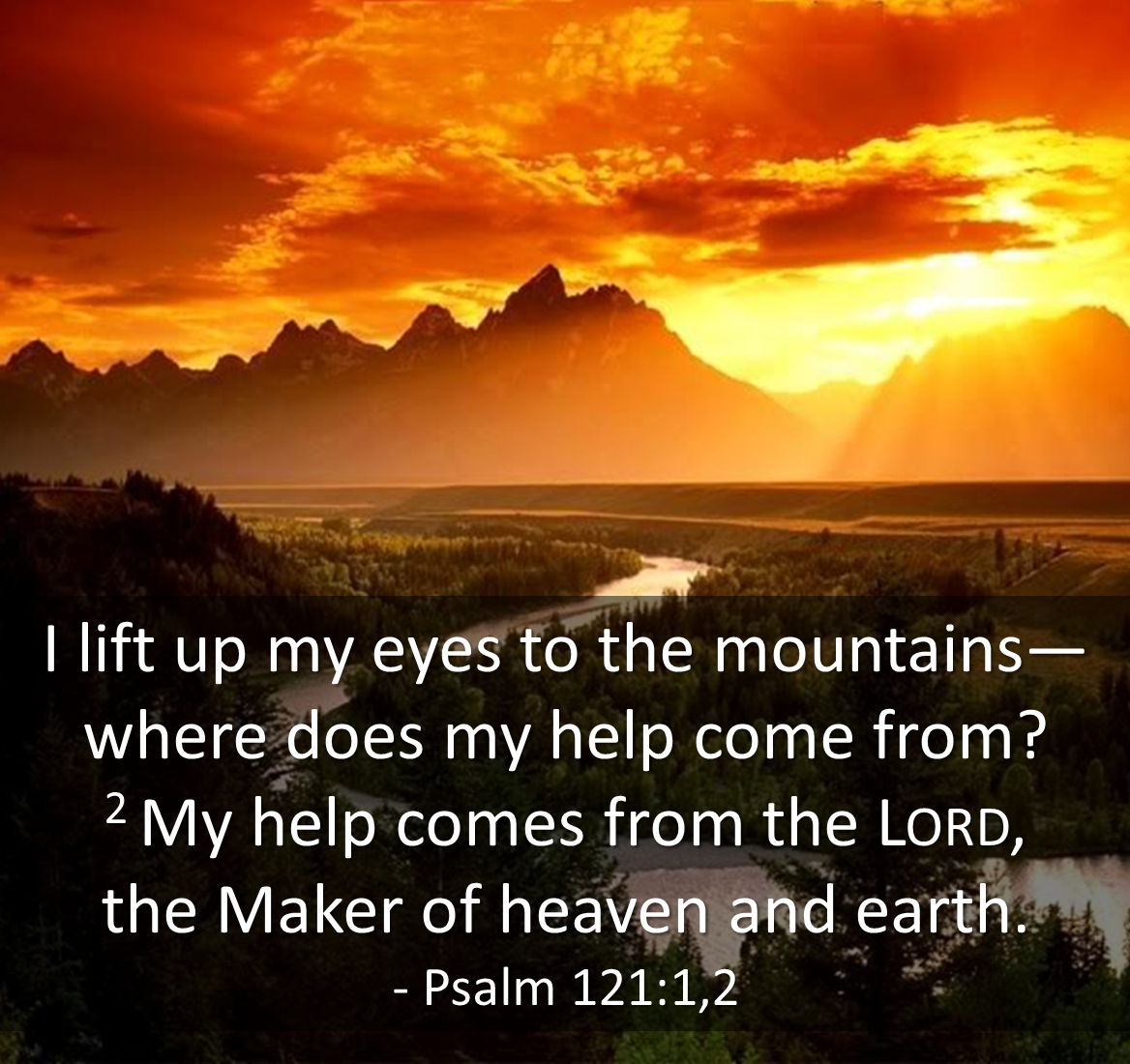 Psalms.png