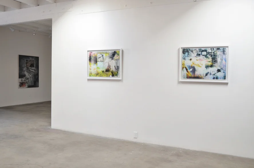 FIELD MANUAL: CONFINEMENT& IMAGE VIOLENCE HARMONY MURPHY GALLERY, LOS ANGELES, CA FEBRUARY 21 - MARCH 21, 2015