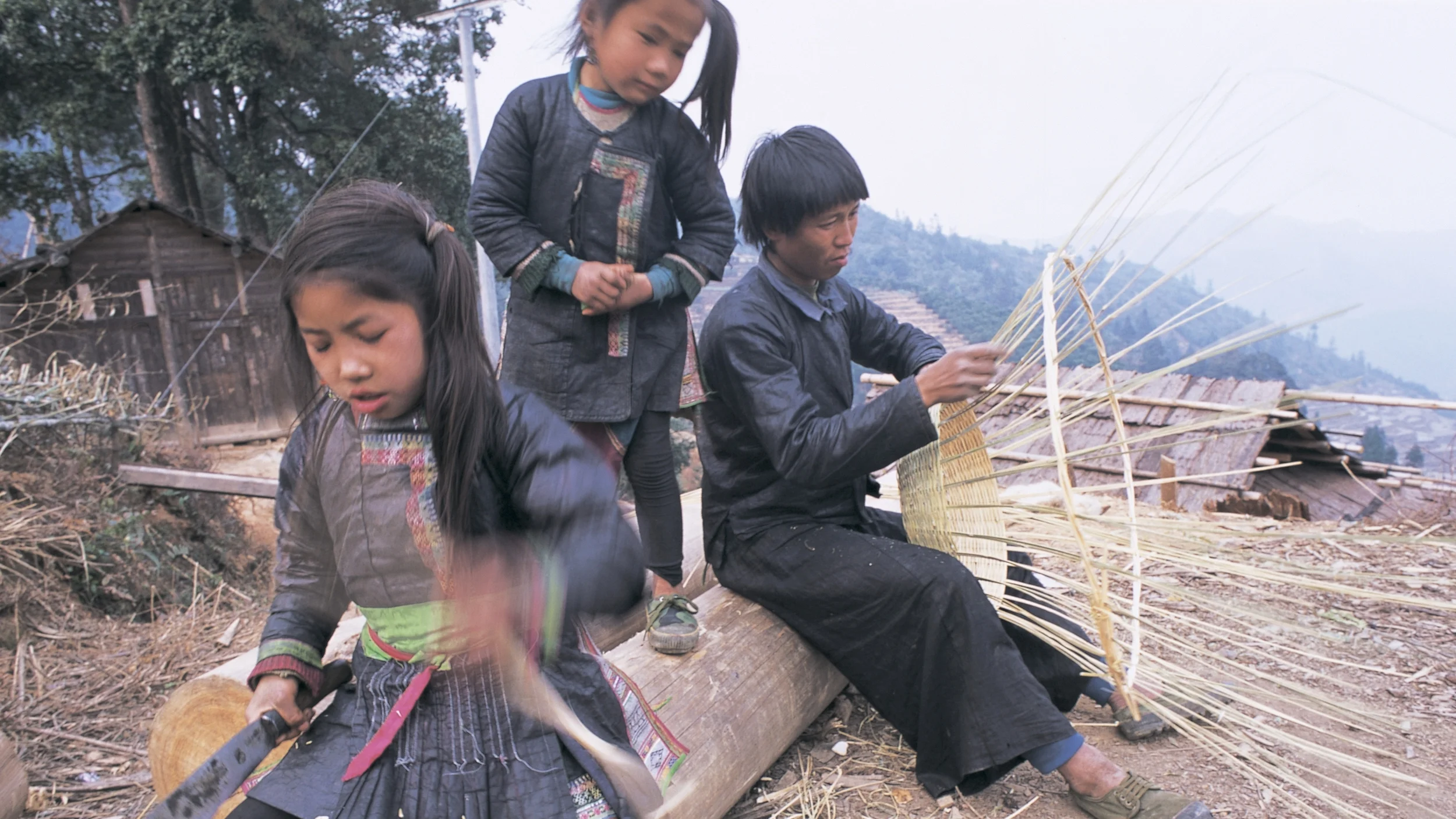 The Recent Hmong Revival