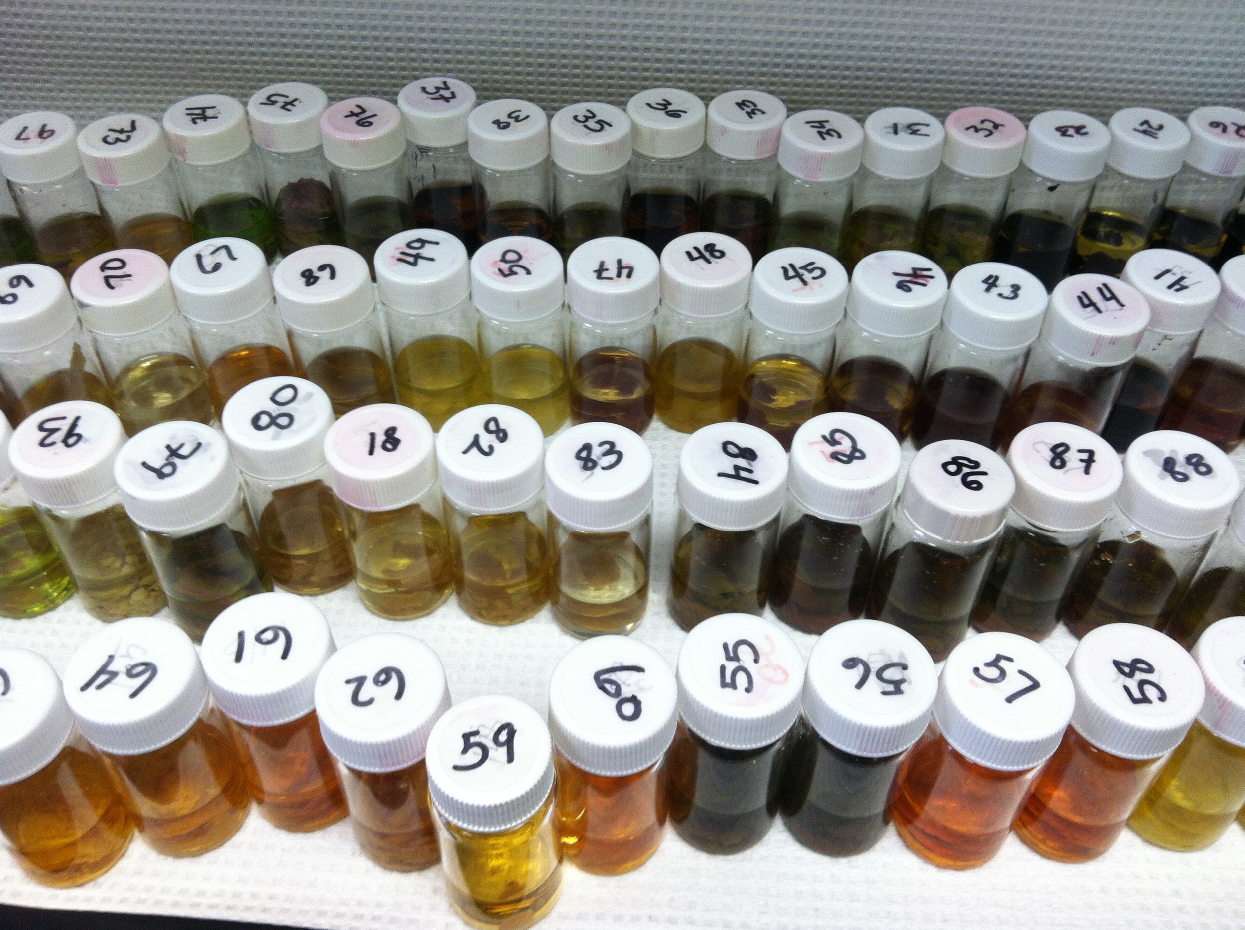  Pigment analysis&nbsp;allows me to quantify the abundance of particular symbiont groups within different sponge species 