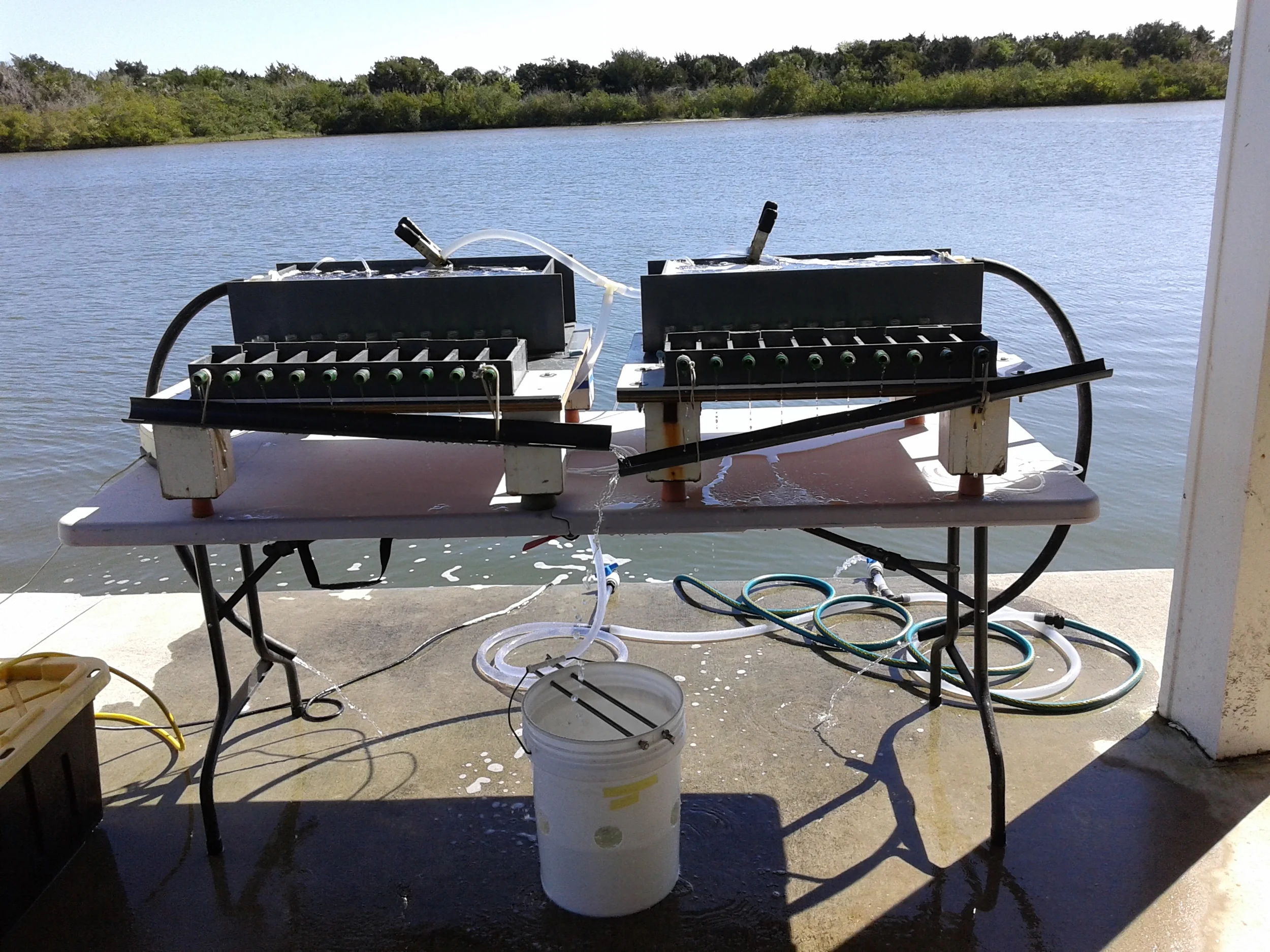 We are also conducting feeding experiments in "monster" raceways to assess feeding efficiency of bivalve grazers