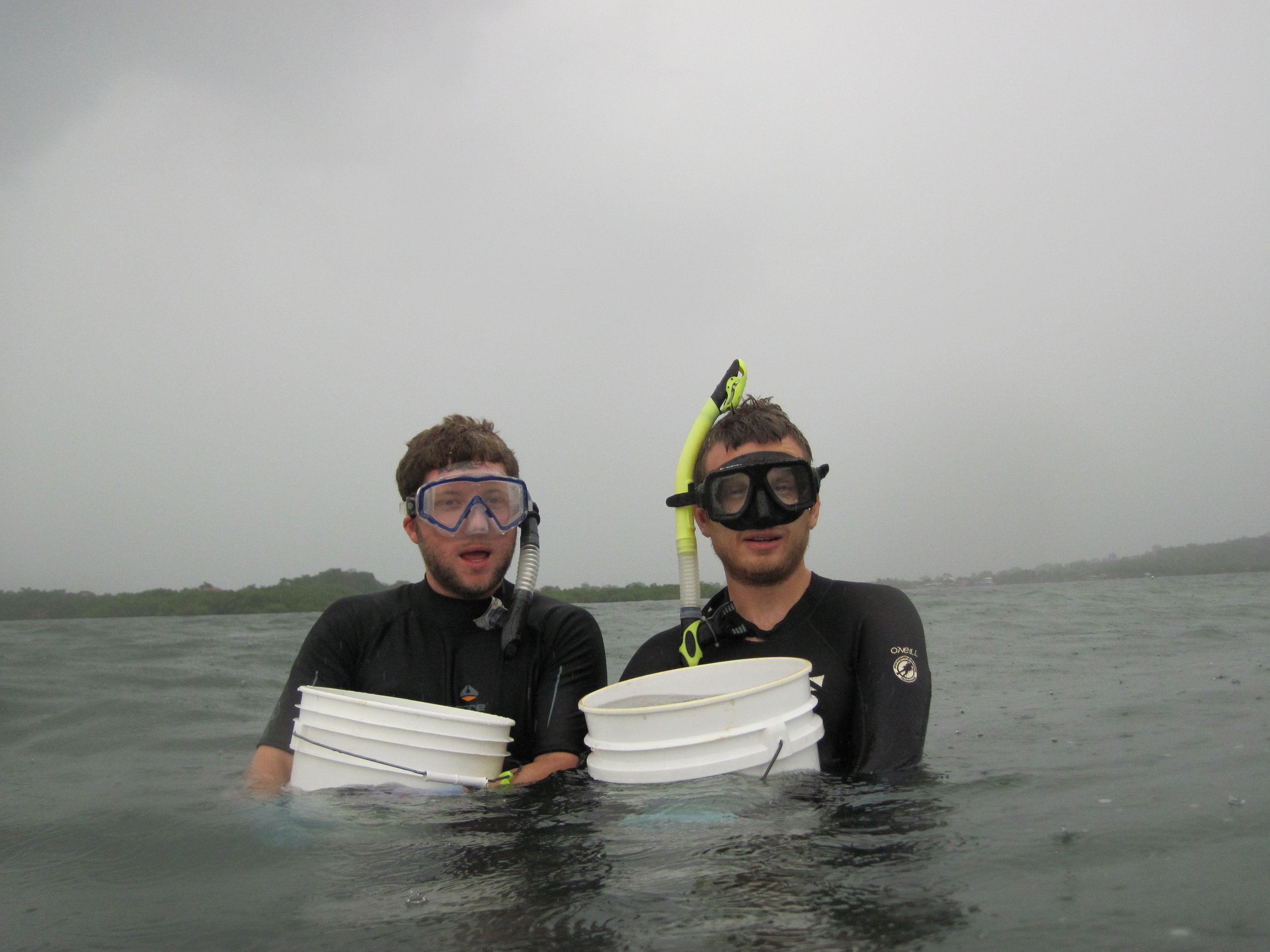 Collecting coral rubble with Dr. Cole Easson