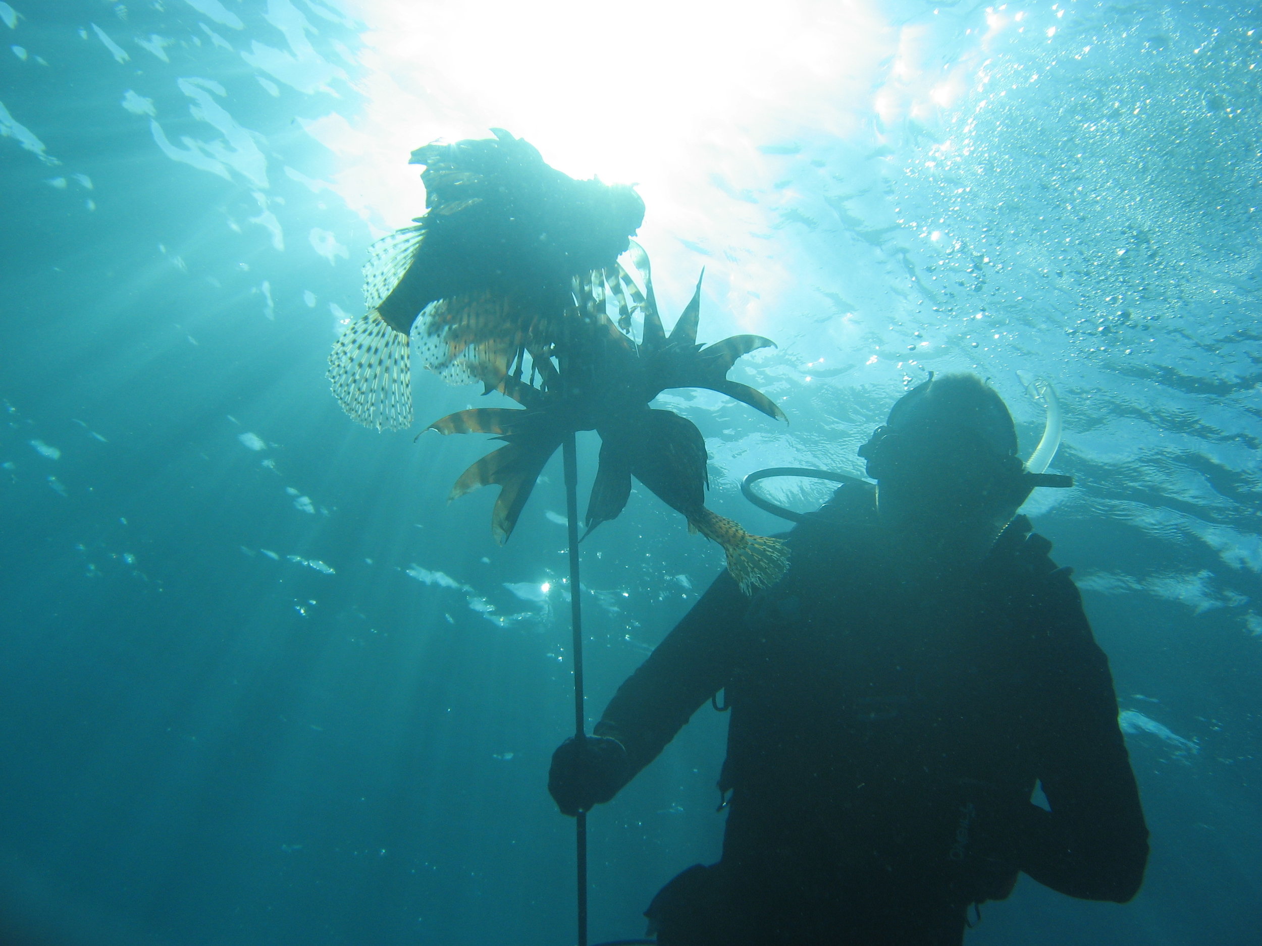 Dr. David Baker after a successful research dive and lionfish hunt
