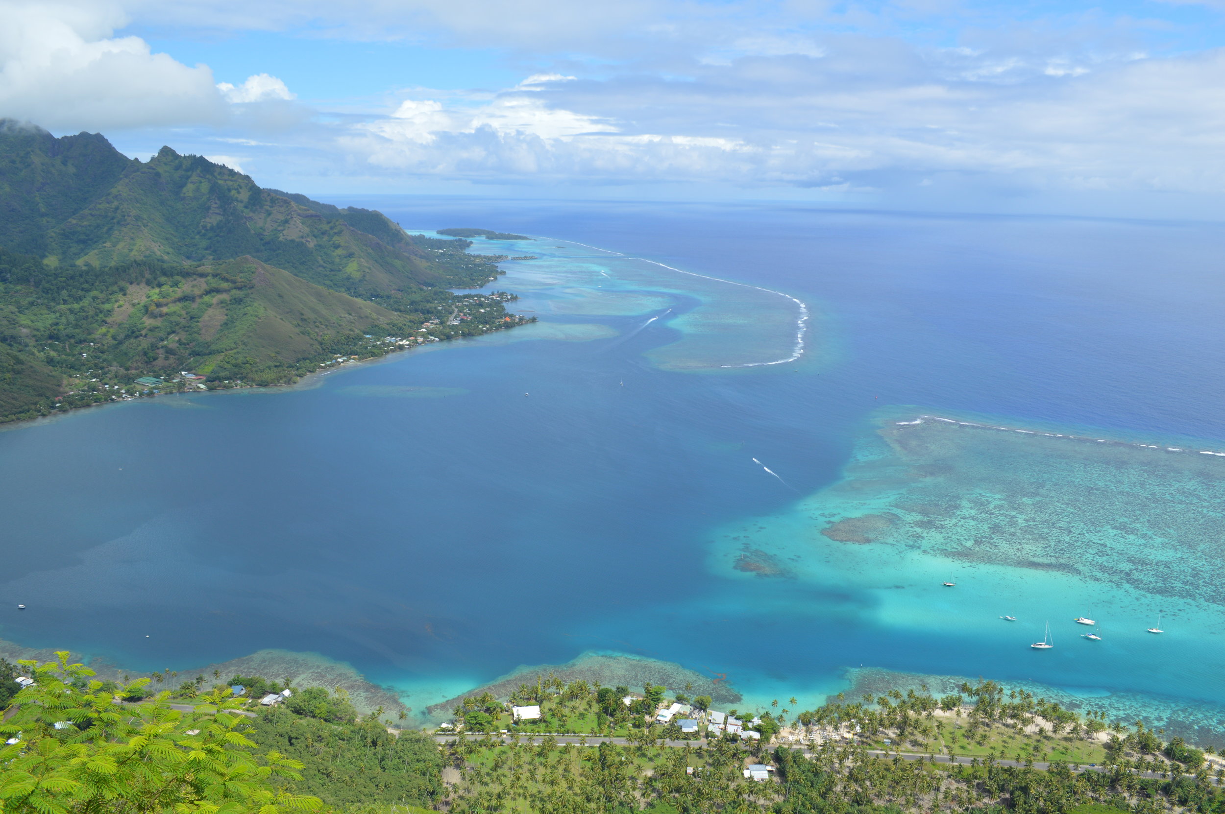 The view from Mt. Rotui in Moorea