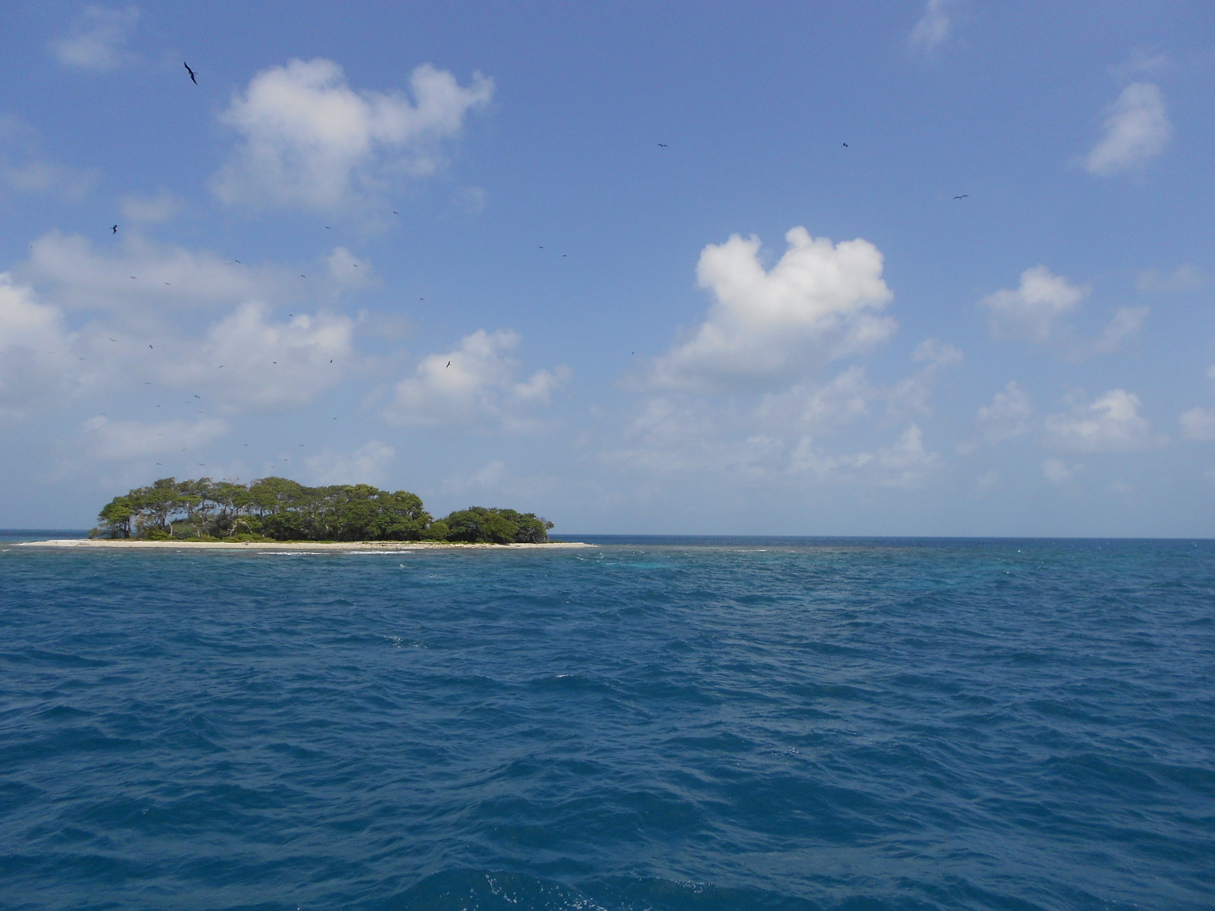 Island in the Miskito Cays of Honduras