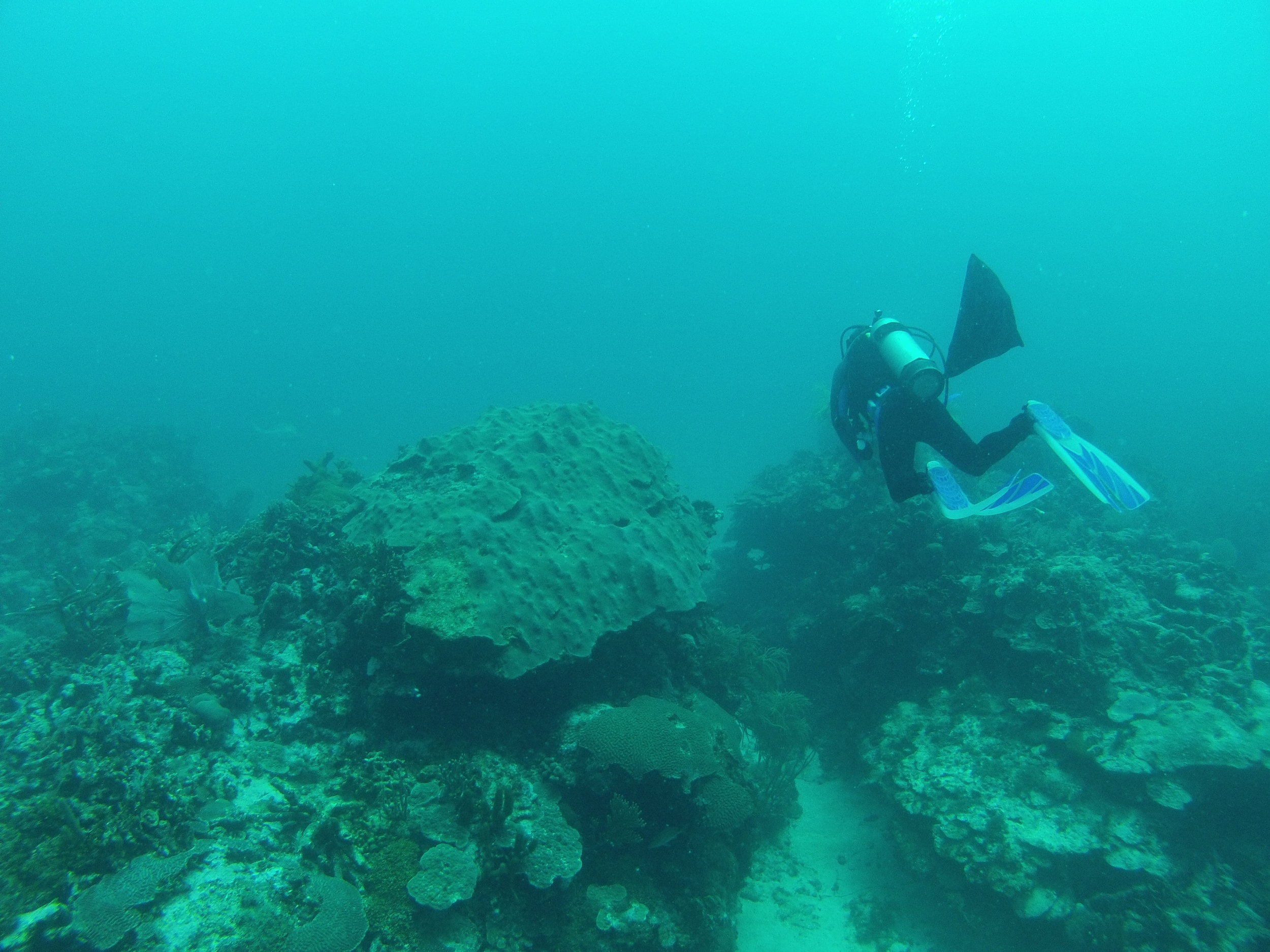 Diving far off Honduras