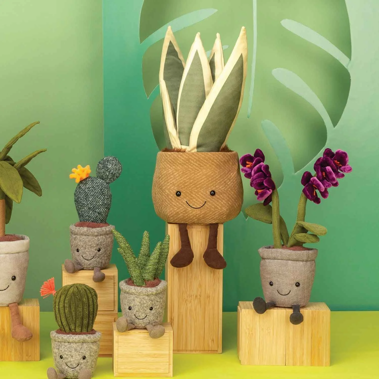 cactus jelly cat