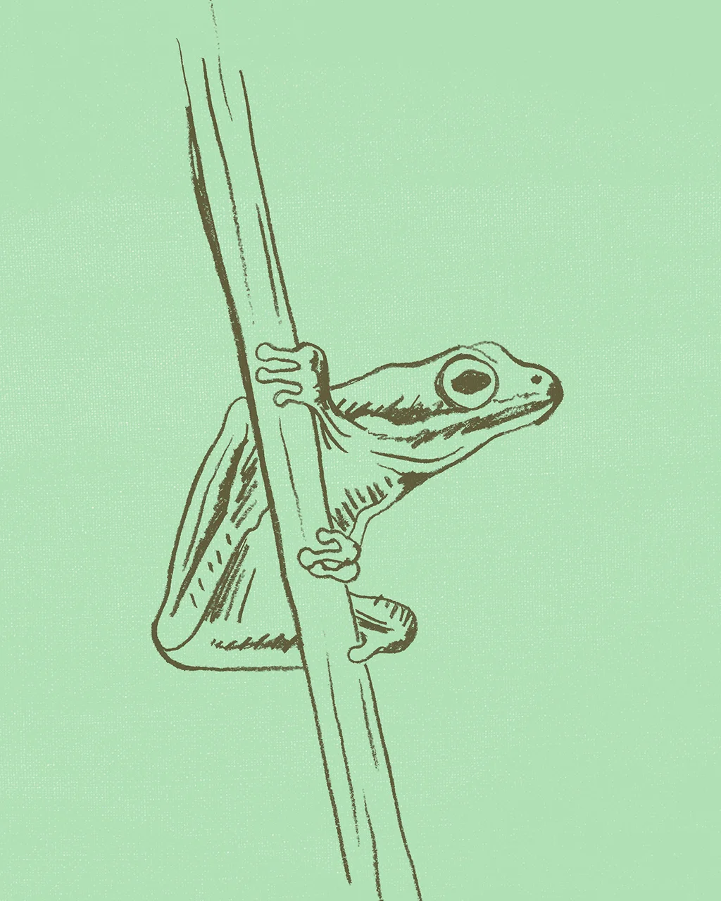 tree-frog-1024.jpg