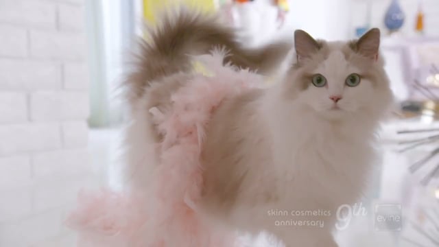 Skinn Cosmetics: Ruby's Playdate