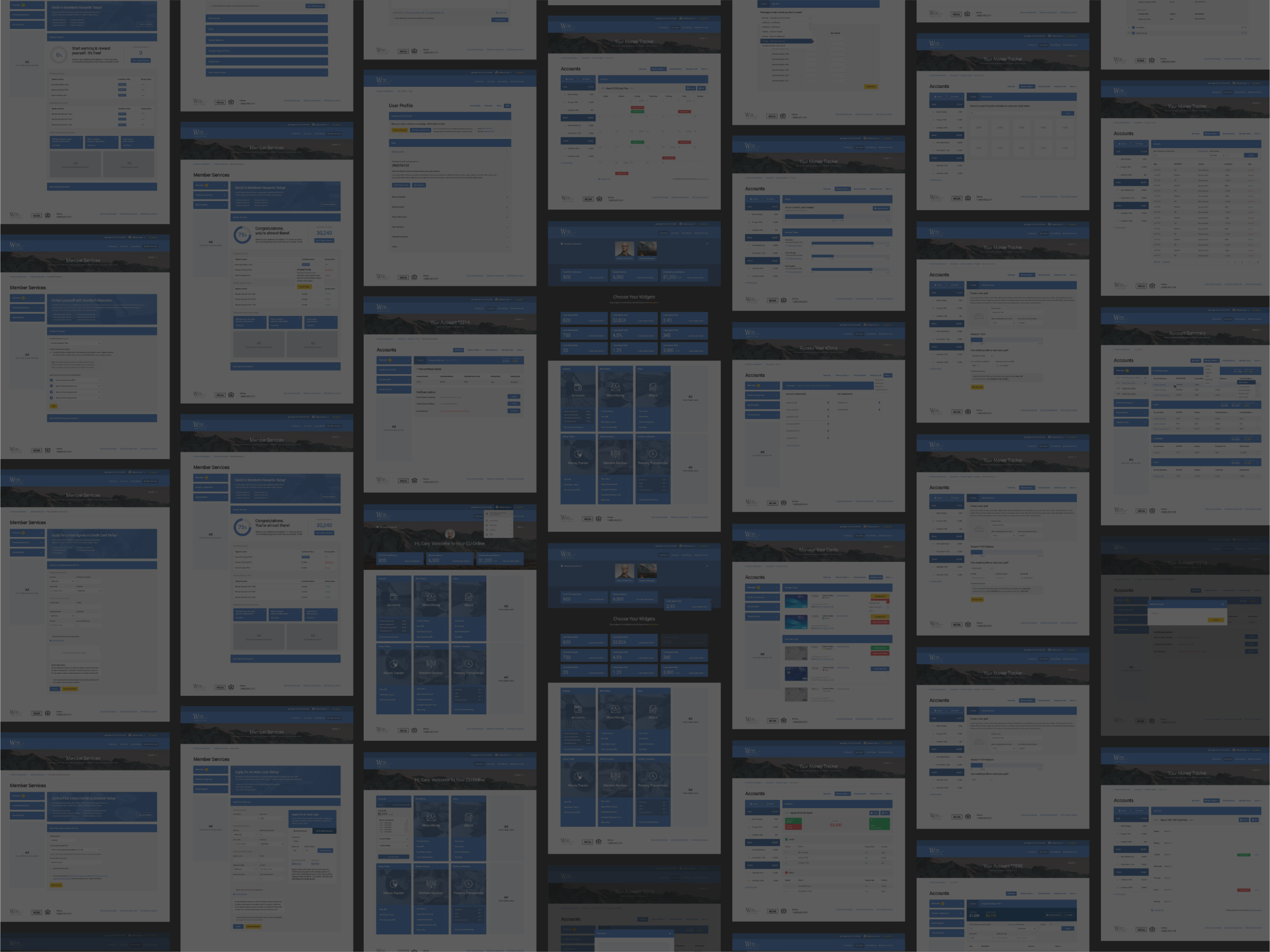 Wings-CS-Assets_1-2-04.png