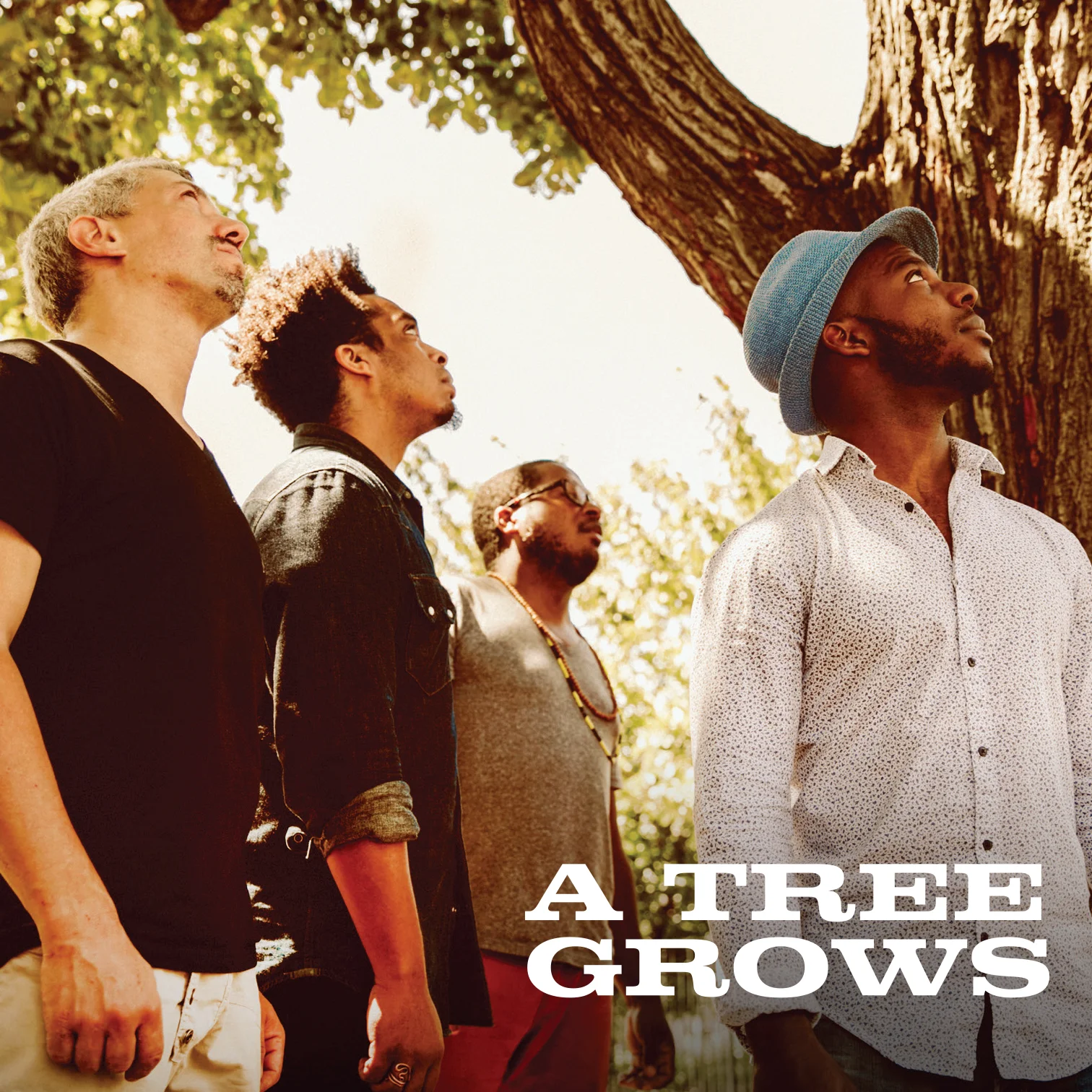 A-Tree-Grows--Album-Cover.jpg
