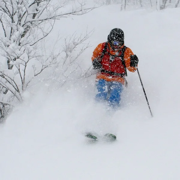 Gary flying through the trees in Hakuba and staying visible.