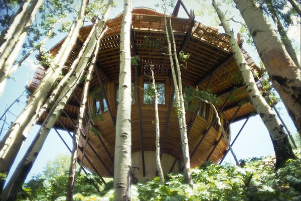 Pure Snow Top 10 Most Amazing Places To Stay In The Snow - Butte Treehouse 5.jpg
