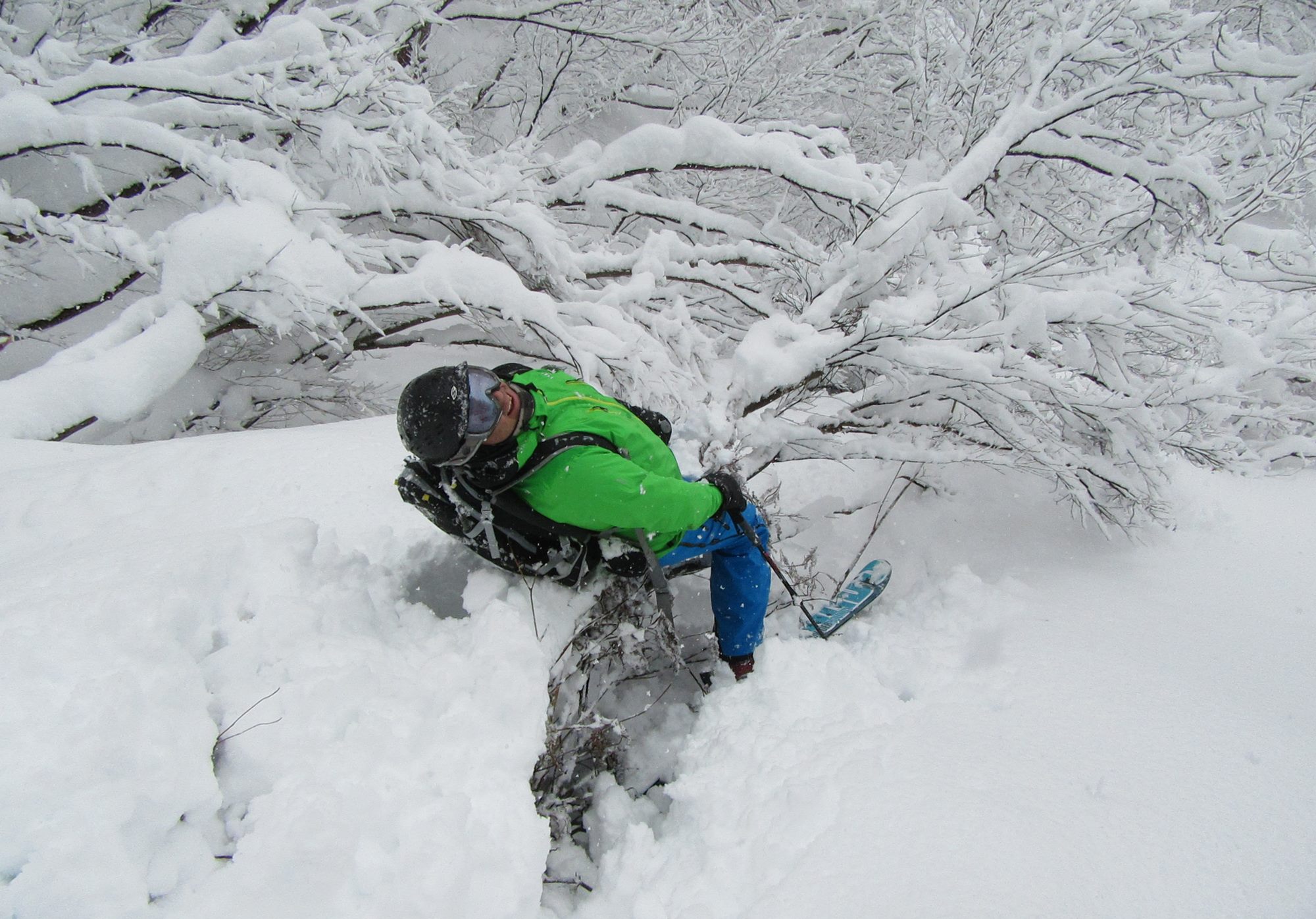 Greg from Powderhounds finds the perils of when the snow cover is rather thin in the trees. One leg went one way and the other went the other way... 