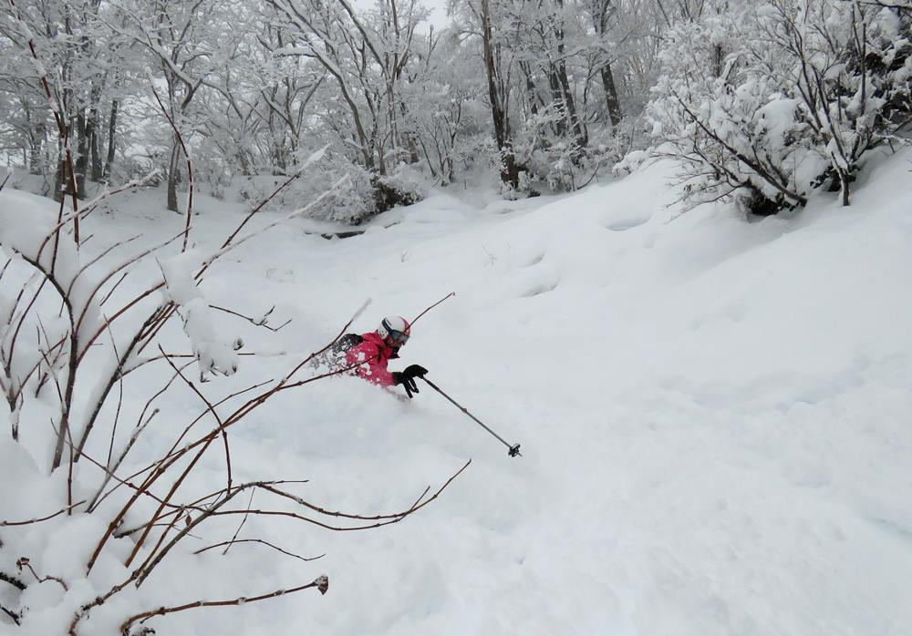 30-40cm of wettish dump overnight that was much needed for a base that's lacking somewhat in the off-piste areas. Seki Onsen is one of the Myoko ski areas... lots of sticks poking through!