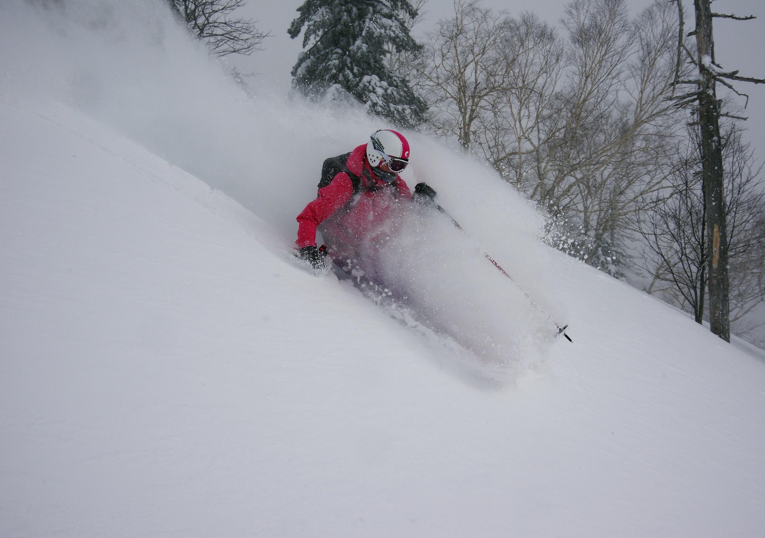 Stormy day in Central Hokkaido where layering up was essential.